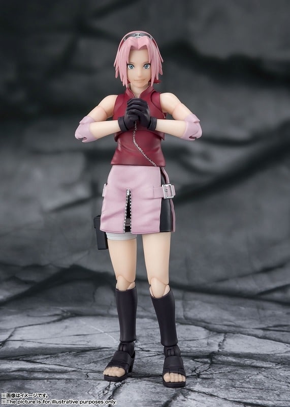 S.H.Figuarts NARUTO-ナルト- 春野サクラ -師匠譲りの負けん気-
 アニメイトで
12月発売