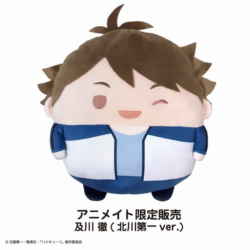 ハイキュー!! ふわコロりんBIGスペシャル L:及川 徹(北川第一ver.)[アニメイト限定]【再販】
 
2024年08月発売
で取扱中