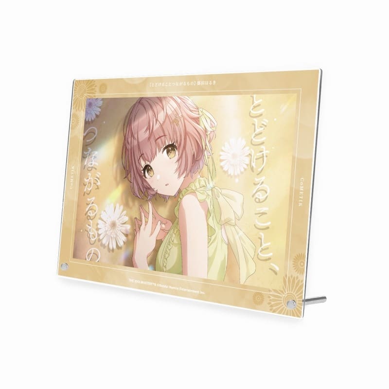 アイドルマスター シャイニーカラーズ 郁田はるき A4アクリルパネル
 アニメイトで
2024/10/17 発売