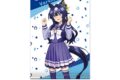 TVアニメ『ウマ娘 プリティーダービー Season 3』 描き下ろしB2タペストリー ヴィルシーナ
 アニメイトで
2024年08月 下旬 発売
