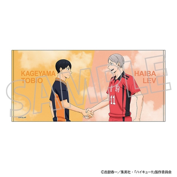 ハイキュー!! ビッグタオル/影山飛雄・灰羽リエーフ
 
2024年8月3日発売
で取扱中