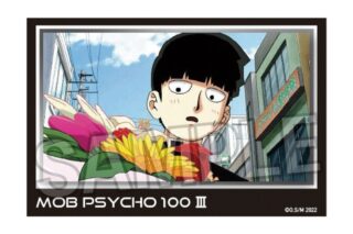 モブサイコ100 Ⅲ 積み積みブロック vol.2 20
 アニメイトで
2024年09月発売