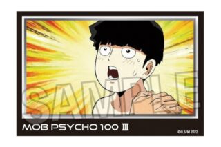 モブサイコ100 Ⅲ 積み積みブロック vol.2 18
 アニメイトで
2024年09月発売